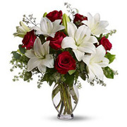 Perfect Match, Puerto Rico, Puerto Rico