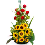 Escalera al Sol, Puerto Rico, Puerto Rico