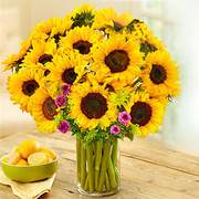 Energía Positiva, Puerto Rico, Puerto Rico