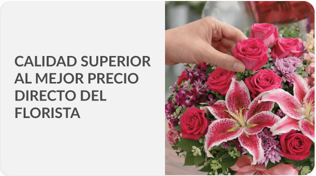 Envía a todo Puerto Rico