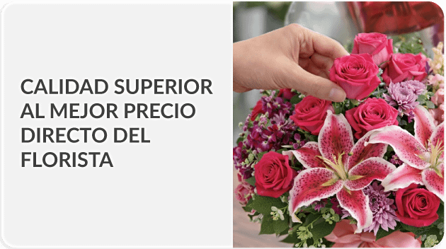 Envía a todo Puerto Rico