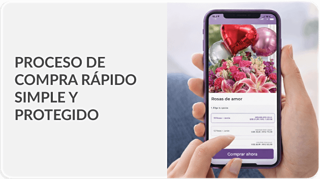 Envío en menos de 2 horas a Puerto Rico - Flores Para Puerto Rico